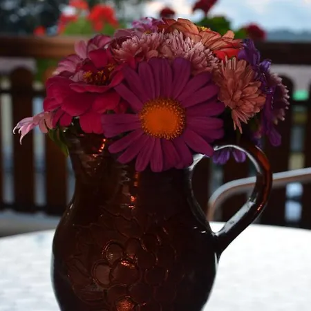 Hotel Jauk-hartner Sankt Johann im Saggautal