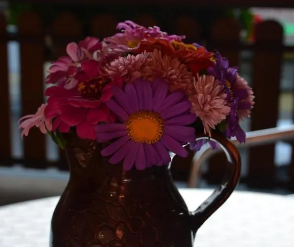 Jauk-hartner فندق Sankt Johann im Saggautal