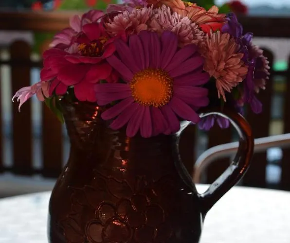 فندق Jauk-hartner Sankt Johann im Saggautal